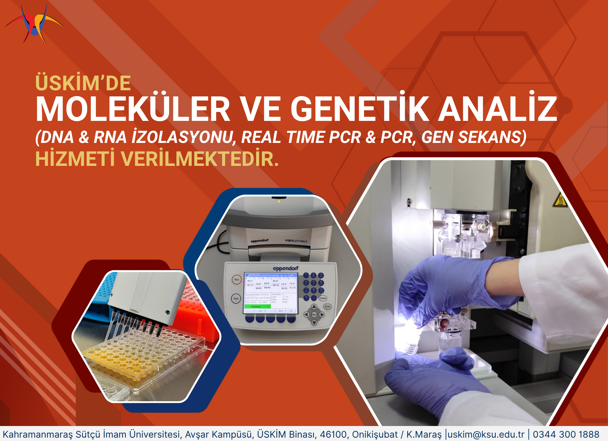 Genetik Analizleri